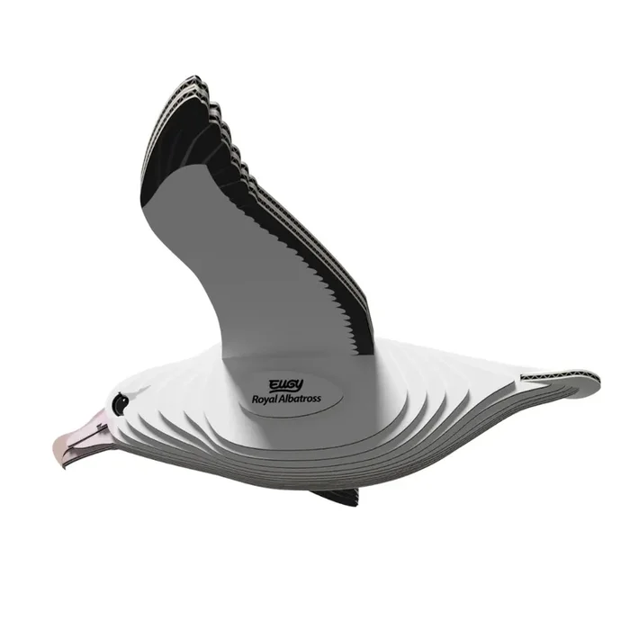 3D Model Kit – Royal Albatross