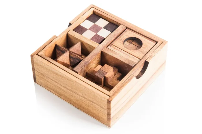 5 Mechanical Puzzle Set – Puzzle Gift Box For Adults