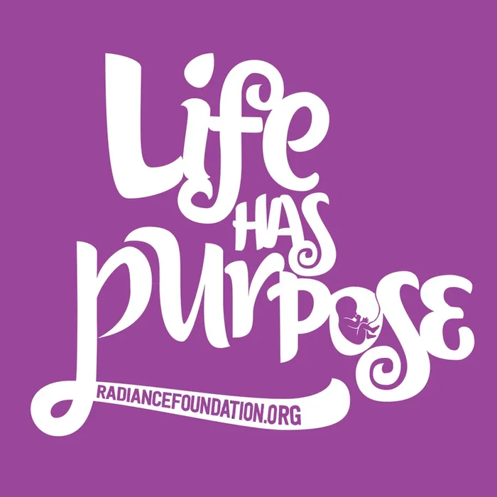 “Life Has Purpose” 2.5in x 2.5in STICKER – (purple)