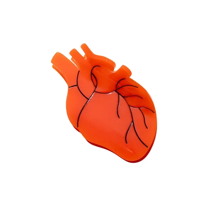 Anatomical Heart Hair Claw