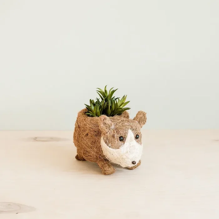 Baby Corgi Succulent Pot – Handmade Planters | Likhâ
