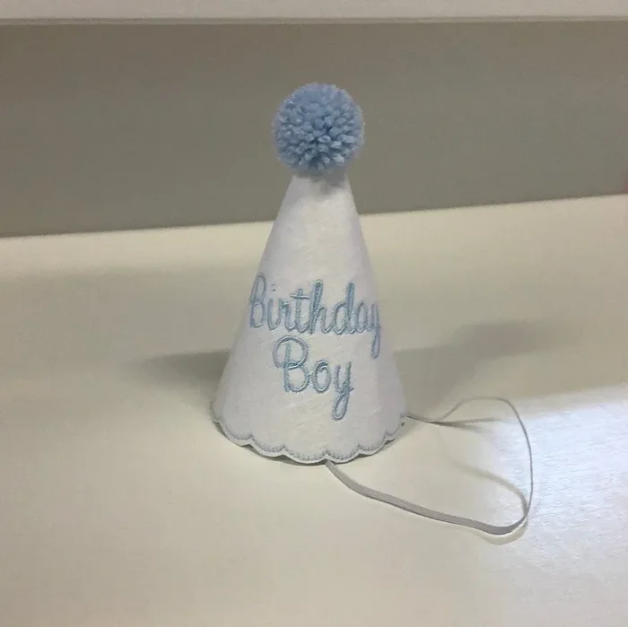 Birthday boy party hat