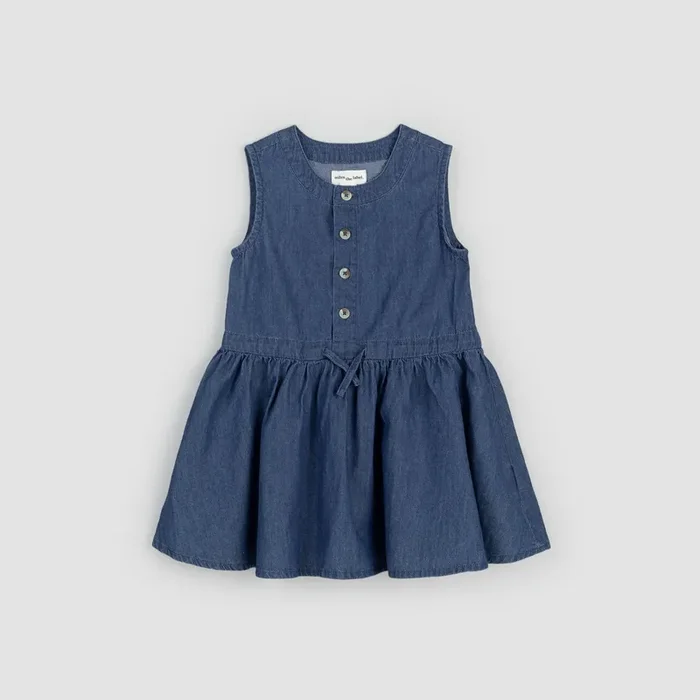 Chambray Sleeveless Front-Button Dress