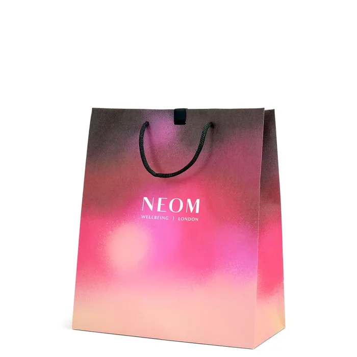 Christmas Gift Bag