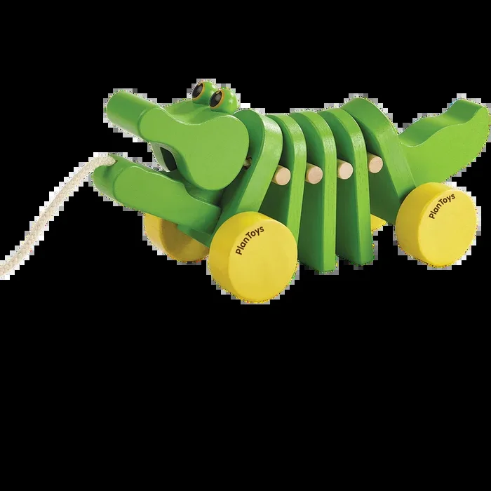 Dancing Alligator