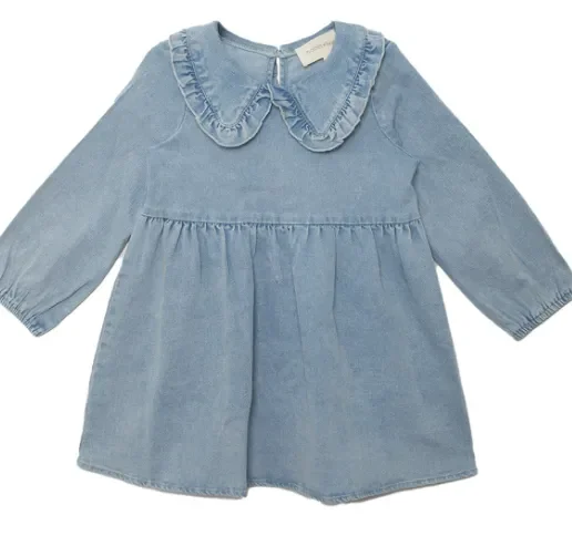 Denim Days Dress