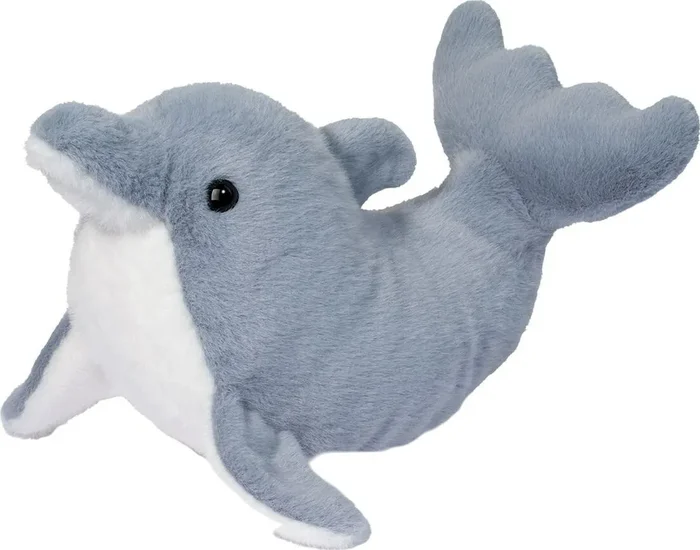 Dinghy Dolphin