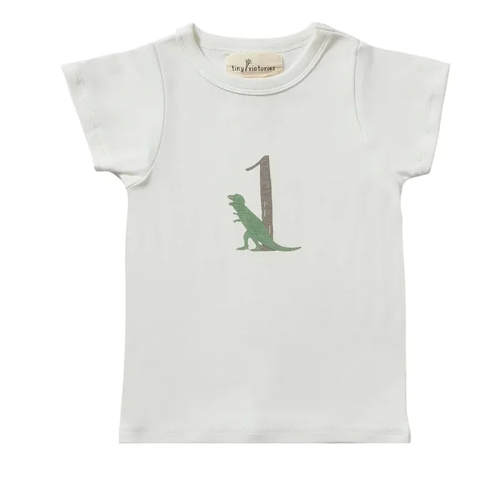DINOSAUR BIRTHDAY 1 12/18mo