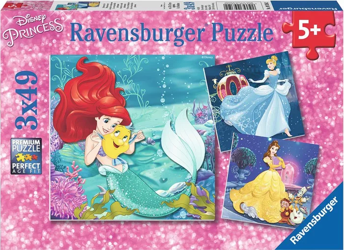 Disney Princess Adventure