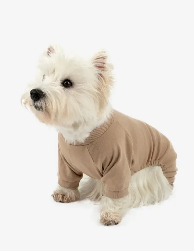 Dog’s Solid Color Neutral Pajamas