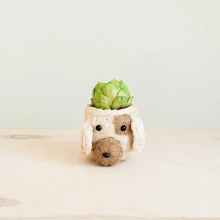 Dog Succulent Planter – Animal Head Plant Pot | Likhâ