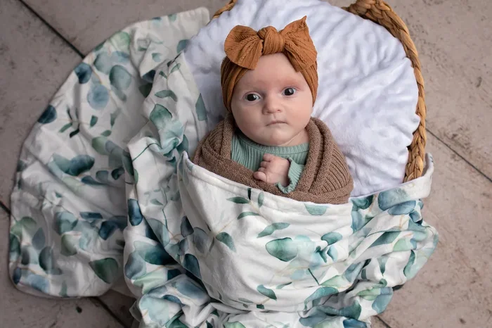 Eucalyptus Embrace Minky Blanket