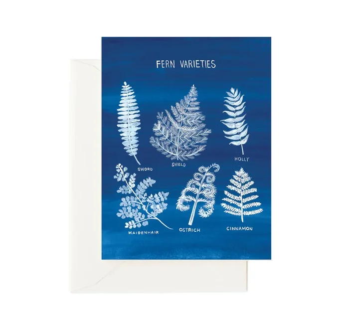 Fern Varieties