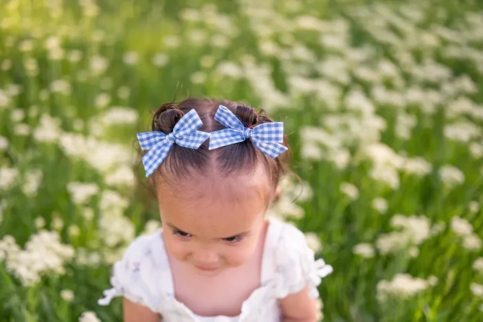 Gingham Glory- Blue | Pigtail Set – Hand-tied Bow
