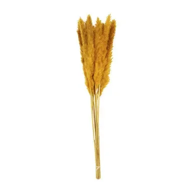 Golden Orange Preserved Pampas Grass