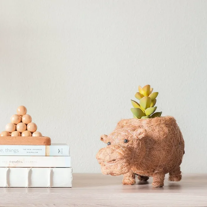 Hippo Planter – Coco Planter | Likhâ