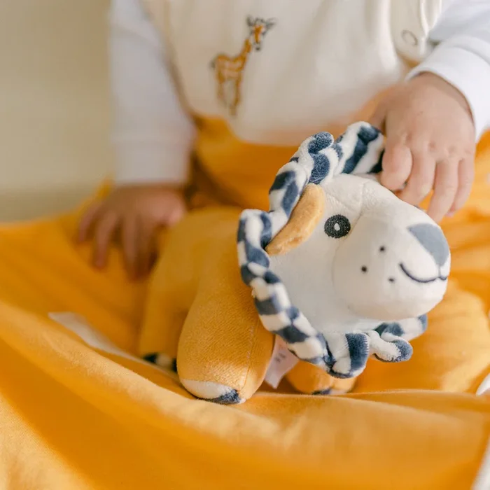 Lion Sensory Toy