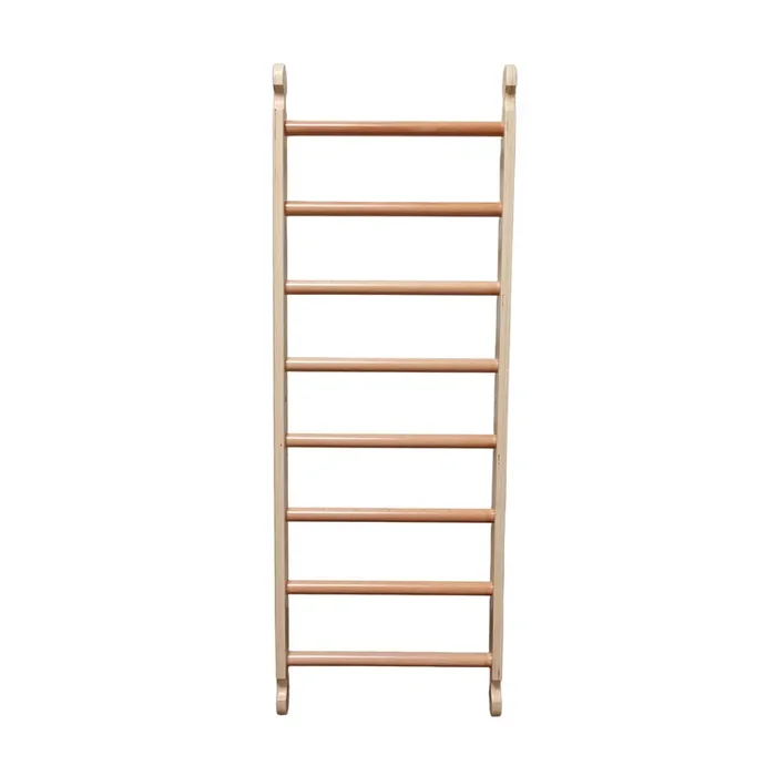 Little Partners Climbing Ladder