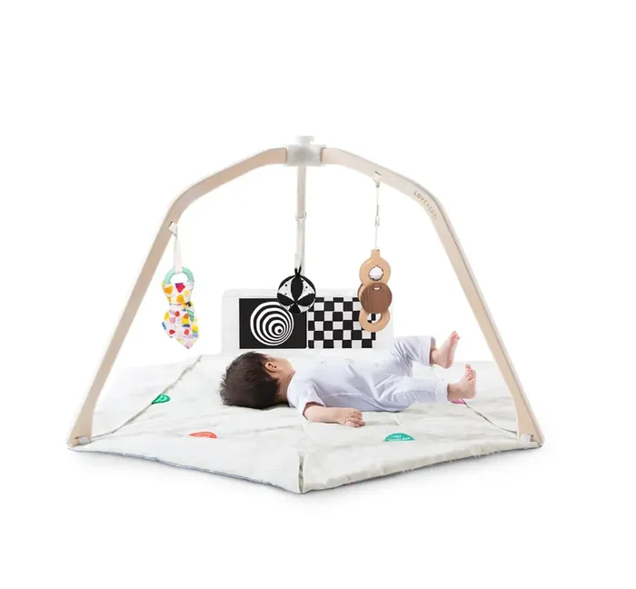 ♻ LovEvery Play Gym w/ accessories