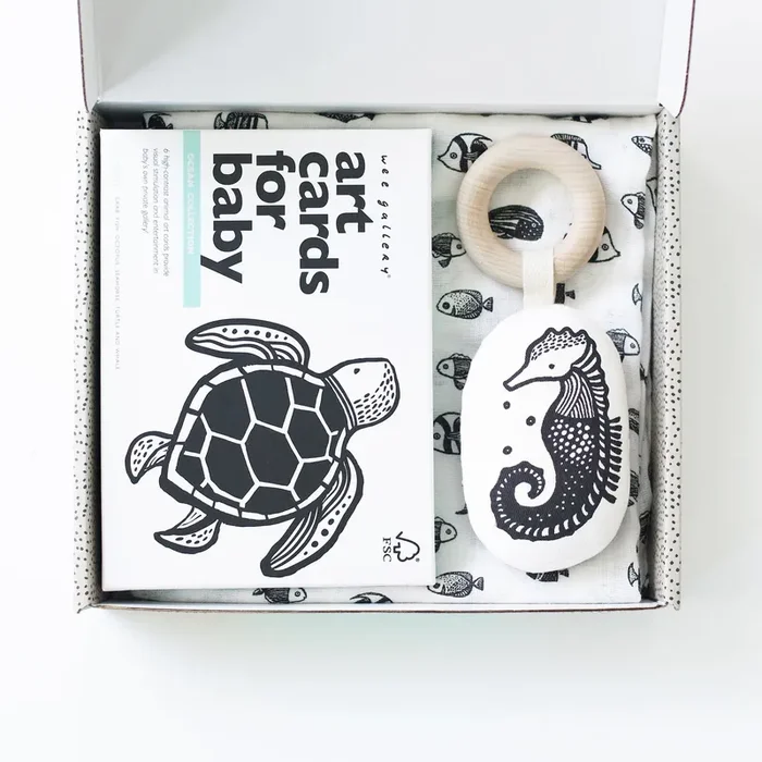 Newborn Baby Gift Set – Ocean
