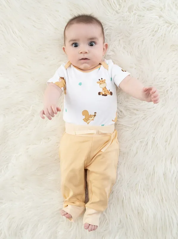 Organic Cotton Jogger Pants – The Animal Kingdom