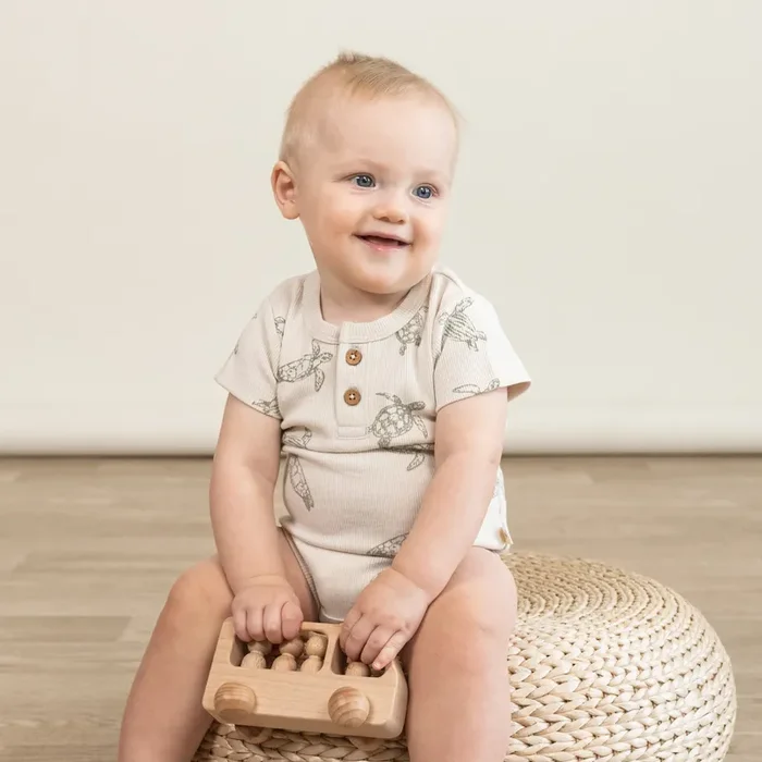 Organic Short Sleeve Romper & Pants Set – Turtles