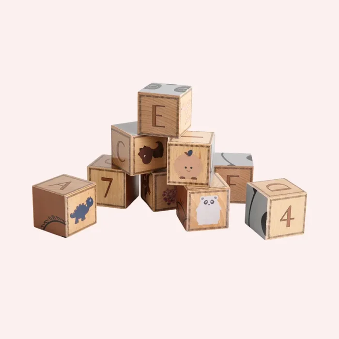 Otto bricks (Wooden bricks 9pc)