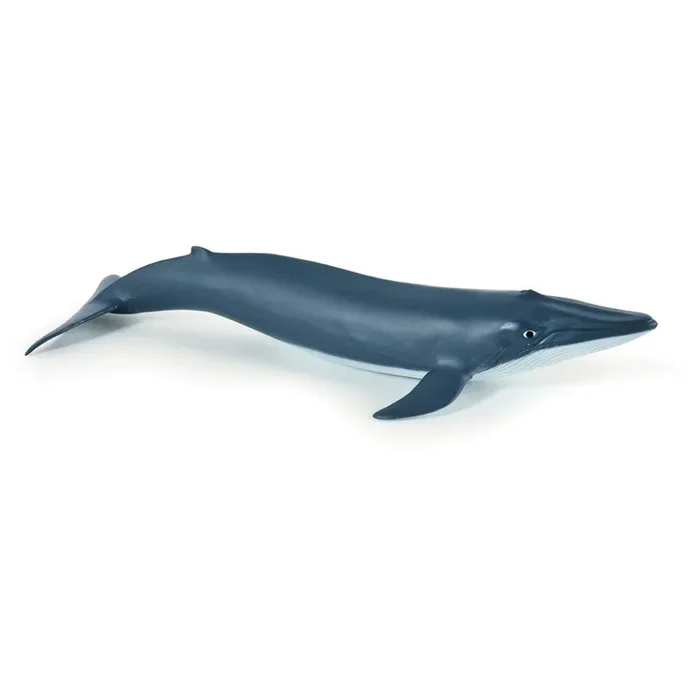 Papo – Blue Whale Calf
