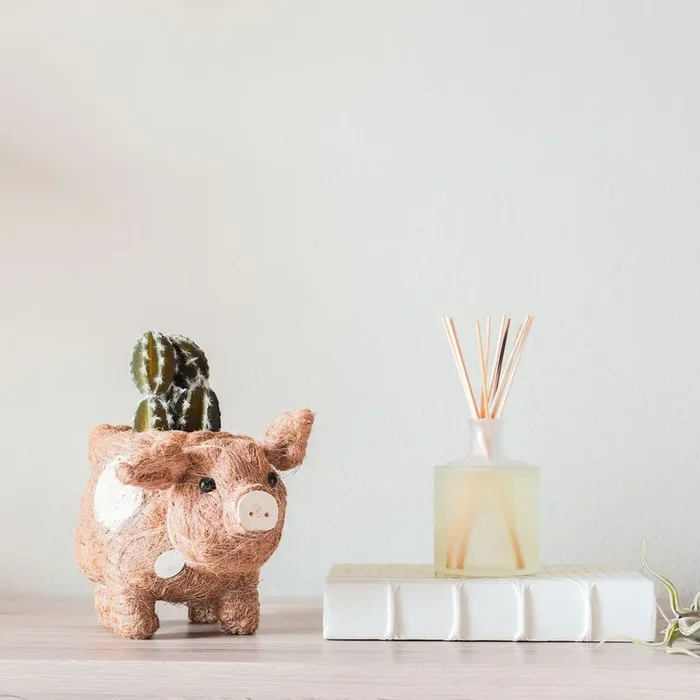 Pig Planter – Coco Coir Pots | Likhâ