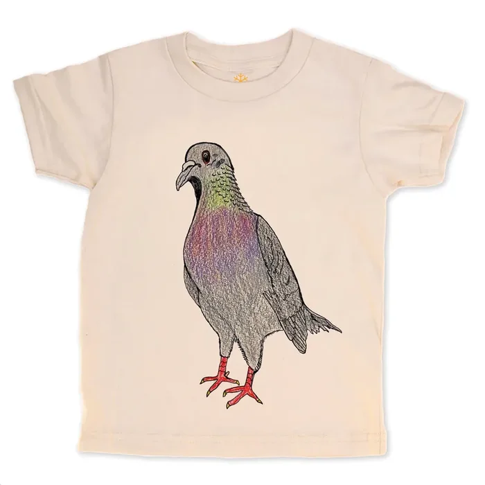 Pigeon