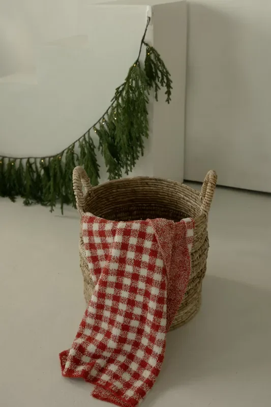 Plush Blanket | Red Gingham