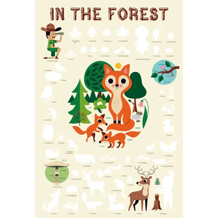 Poppik – Discovery Posters FOREST
