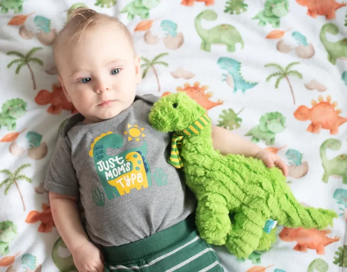 Premium Baby & Toddler Minky Blanket – Dinosaurs