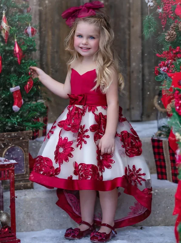 Sheer Collar Red Embroidered Hi-Lo Dress