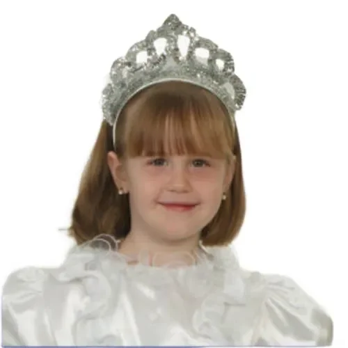 Silver Tiara With Veil