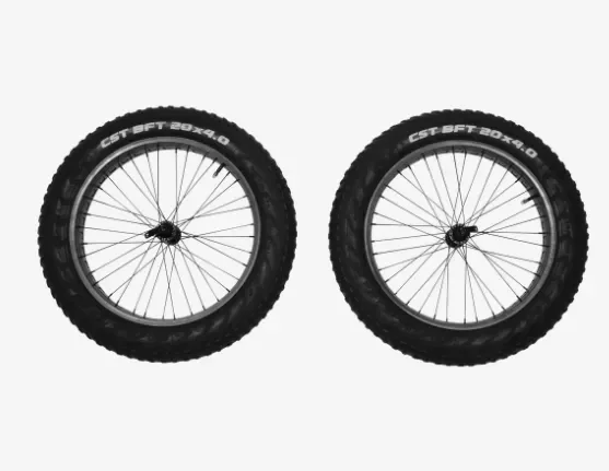 Thule Reacha 20 ” Fat Tire Wheel Set