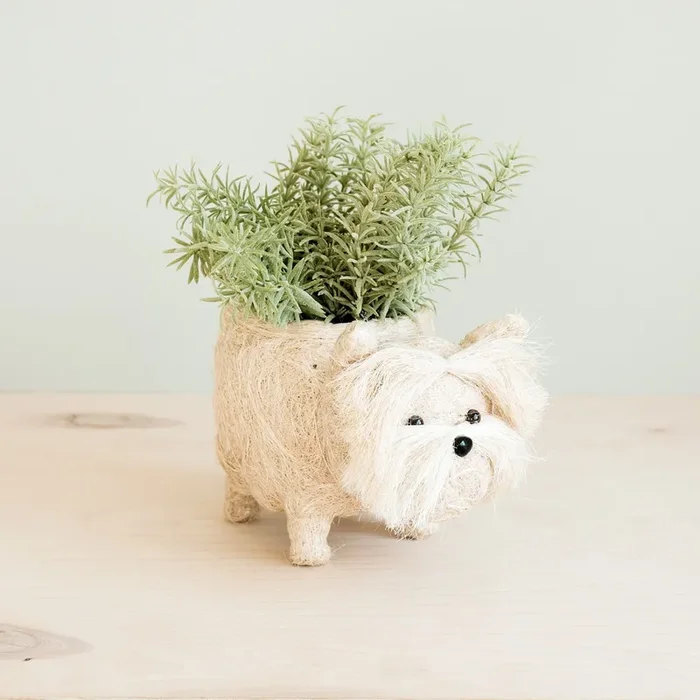 Westie Planter – Coco Coir Pots | Likhâ